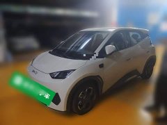 BYD Seagull Smart Driving Edition 305km Freedom Edition - ფოტო 1