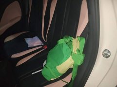 BYD Seagull Smart Driving Edition 305km Freedom Edition - ფოტო 13