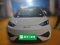 BYD Seagull Smart Driving Edition 305km Freedom Edition - ფოტო 2