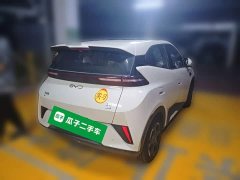 BYD Seagull Smart Driving Edition 305km Freedom Edition - ფოტო 4