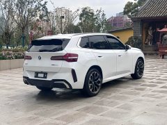 BMW X3 xDrive30L Luxury M Sport Package - ფოტო 14