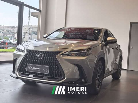 2023 Lexus NX 260 FWD Joyful Edition - ავტომობილი ჩინეთიდან