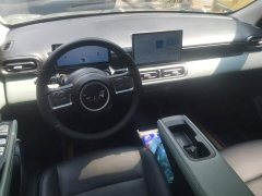 Wuling Binguo PLUS 510km Flagship Four-Seater - ფოტო 12