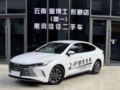 BYD Destroyer 05 Glory Edition DM-i 55KM Luxury - ფოტო 1