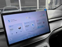 BYD Destroyer 05 Glory Edition DM-i 55KM Luxury - ფოტო 17