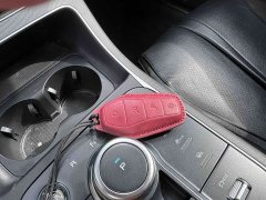 BYD Destroyer 05 Glory Edition DM-i 55KM Luxury - ფოტო 19