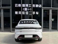 BYD Destroyer 05 Glory Edition DM-i 55KM Luxury - ფოტო 2