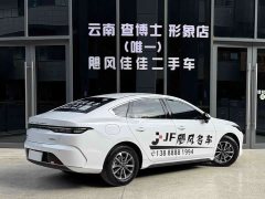 BYD Destroyer 05 Glory Edition DM-i 55KM Luxury - ფოტო 3