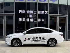 BYD Destroyer 05 Glory Edition DM-i 55KM Luxury - ფოტო 4