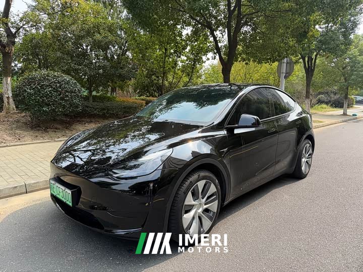 Tesla Model Y Rear-Wheel Drive - ავტომობილი ჩინეთიდან