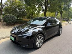 Tesla Model Y Rear-Wheel Drive - ფოტო 1