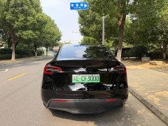 Tesla Model Y Rear-Wheel Drive - ფოტო 18