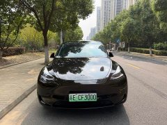 Tesla Model Y Rear-Wheel Drive - ფოტო 2