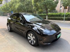 Tesla Model Y Rear-Wheel Drive - ფოტო 3