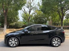Tesla Model Y Rear-Wheel Drive - ფოტო 5