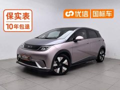 BYD Dolphin 2025 520km Knight Edition - ფოტო 1