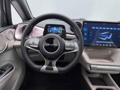 BYD Dolphin 2025 520km Knight Edition - ფოტო 11