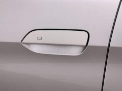 BYD Dolphin 2025 520km Knight Edition - ფოტო 18