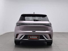 BYD Dolphin 2025 520km Knight Edition - ფოტო 4