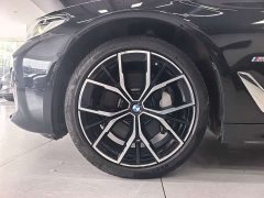 BMW 5 Series Facelift 530Li Luxury M Sport Package - ფოტო 19