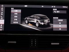 Porsche 2019 Cayenne 3.0T - ფოტო 19