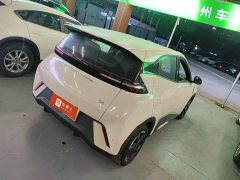 BYD Seagull Glory Edition 405km Flying Edition - ფოტო 2
