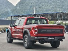 Ford F-150 Raptor 3.5T Raptor Blaze Storm Special Edition - ფოტო 13