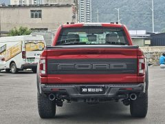 Ford F-150 Raptor 3.5T Raptor Blaze Storm Special Edition - ფოტო 14