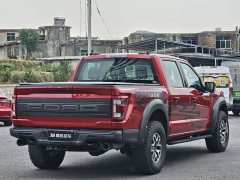Ford F-150 Raptor 3.5T Raptor Blaze Storm Special Edition - ფოტო 15