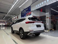 Haval H6 National Trend Edition 1.5T Automatic Champion Version - ფოტო 7