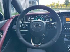 GAC Aion M8 Master Series 400T Premium Edition - ფოტო 16