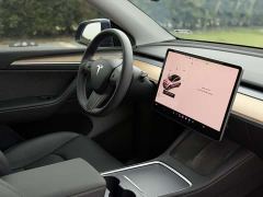 Tesla Model Y Rear-Wheel Drive - фото 14