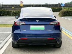 Tesla Model Y Rear-Wheel Drive - фото 6