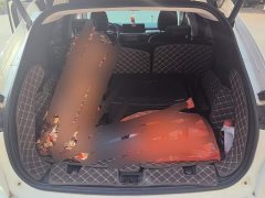 Ford Escape 2020 EcoBoost 245 AWD Premium Edition - ფოტო 4