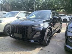 FAW Hongqi HS5 2.0T Two-Wheel Drive Mystic Shadow Edition - ფოტო 1