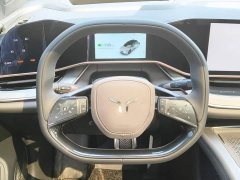 FAW Hongqi Tiangong 08 730 Max RWD Version - ფოტო 15