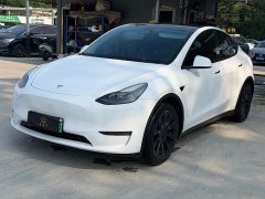 Tesla Model Y Standard Range RWD - ფოტო 1