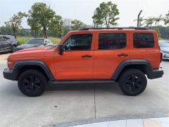 Tank 300 Off-Road Edition 2.0T Conqueror - ფოტო 3