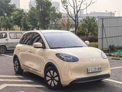 Wuling Binguo 333km Lingxi Connected Edition - ფოტო 3