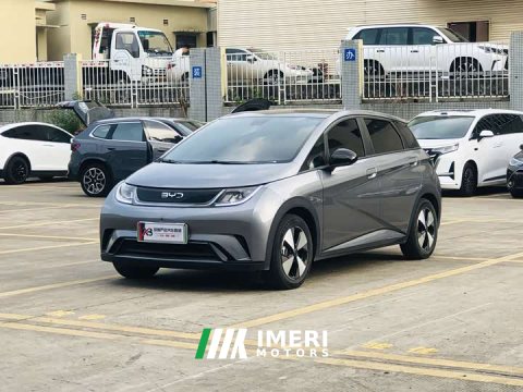 2023 BYD Dolphin 420km Fashion Edition - ავტომობილი ჩინეთიდან