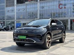 Denza X 2020 PHEV Premier Edition - ფოტო 1
