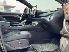Denza X 2020 PHEV Premier Edition - ფოტო 17