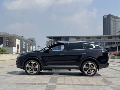 Denza X 2020 PHEV Premier Edition - ფოტო 7