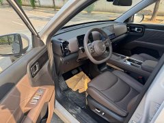 Wuling Starlight 560 New Energy Plug-in Hybrid 125km Luxury - ფოტო 5