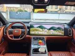 Geely Galaxy M9 2025 230km Two-Wheel Drive Explorer Edition - ფოტო 13