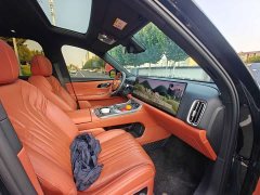 Geely Galaxy M9 2025 230km Two-Wheel Drive Explorer Edition - ფოტო 15