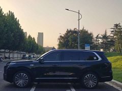 Geely Galaxy M9 2025 230km Two-Wheel Drive Explorer Edition - ფოტო 17