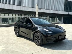 Tesla Model Y Rear-Wheel Drive - ფოტო 2