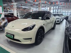Tesla Model Y Rear-Wheel Drive - ფოტო 1