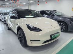 Tesla Model Y Rear-Wheel Drive - ფოტო 3